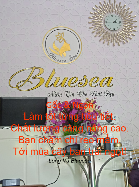 Bluesea Vua Trị Nám 2.png